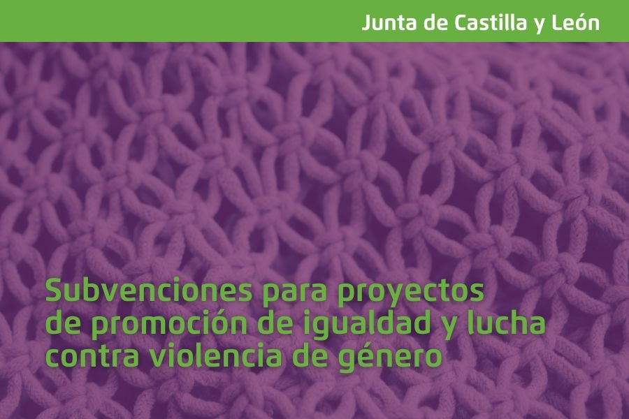 Abierto el plazo de solicitud de subvenciones para proyectos de igualdad y lucha contra violencia de género  por la JCYL